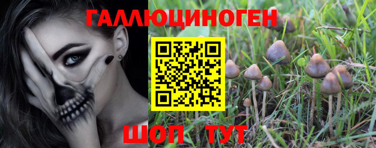 Галлюциногенные грибы ЛСД Реж
