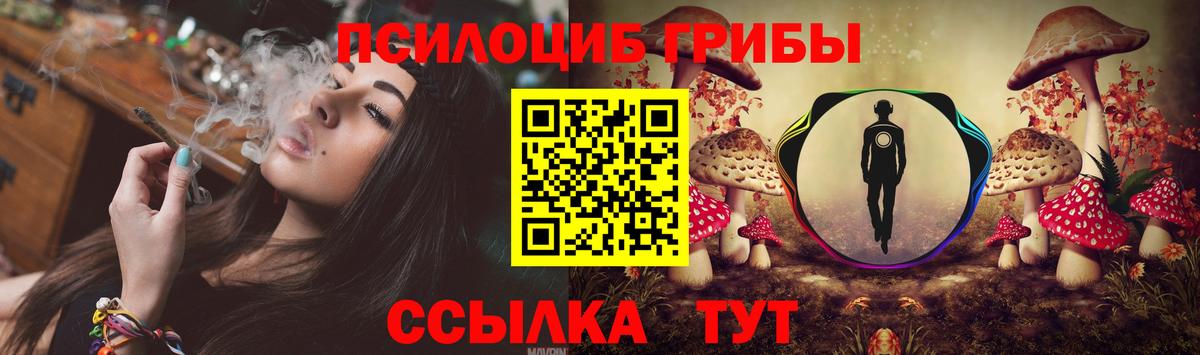 Реж  Псилоцибиновые грибы Psilocybine cubensis  Вход с VPN 